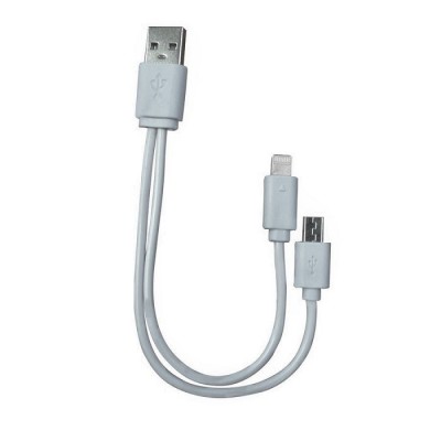 Câble USB à  lightning  ou micro USB